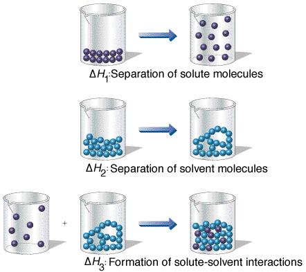 solvent particles requires energy, ENDOTHERMIC (+ DH) Interaction of Solute & Solvent attractive bonds form between solute particles and solvent