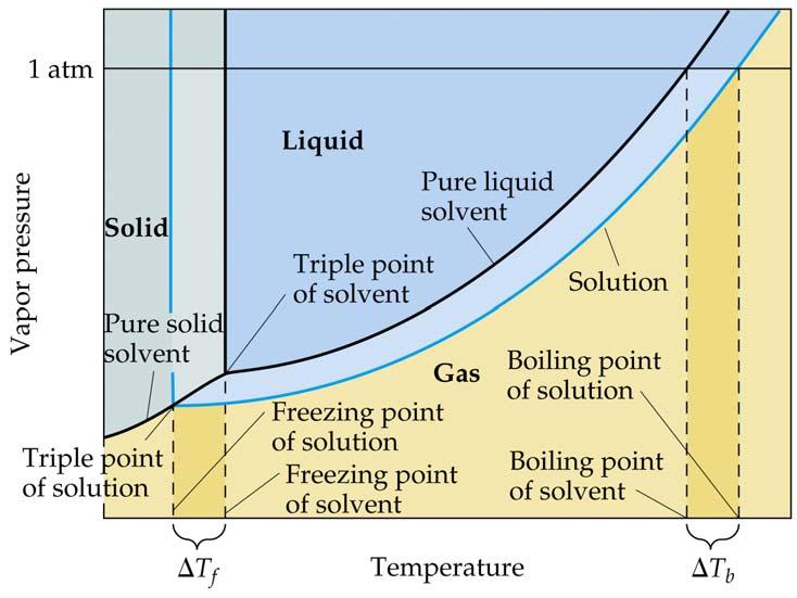2. Boiling Point Elevation # particles of nonvolatile solute VP boiling point Since boiling point is when VP = atmospheric pressure, if the V.P. is lower, then more energy must be used to overcome atmospheric pressure = higher T at boiling It takes more energy to break apart solvent/solute bonds so solvent can vaporize.