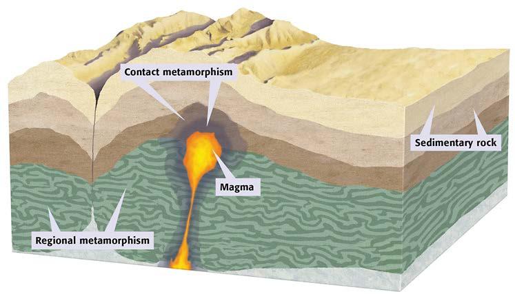 Contact metamorphism The greatest change takes place where magma comes into direct contact with the surrounding rock.