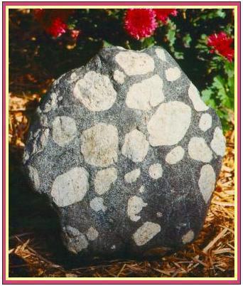 3. Other Igneous Rock Textures a.