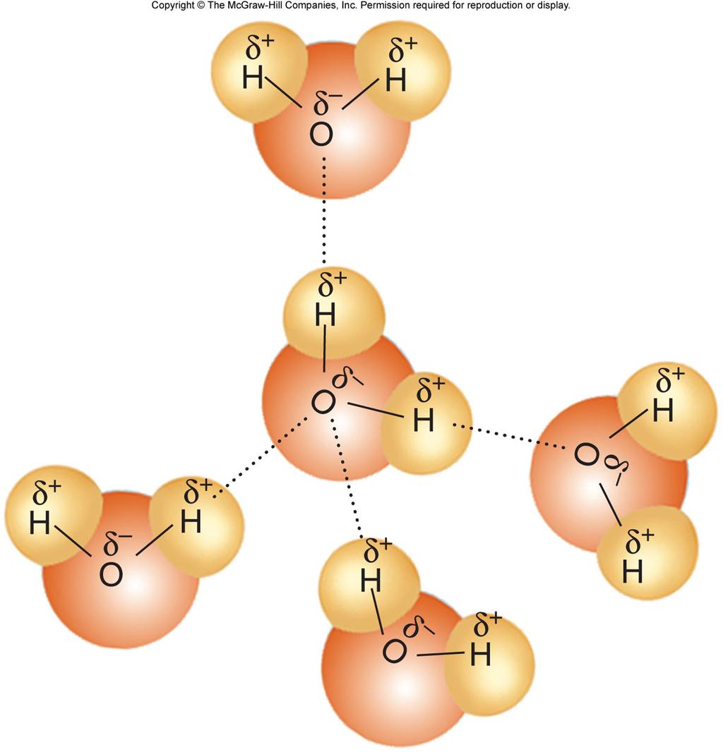 Hydrogen Bonds Electrical a0rac7on between hydrogen in one polarized bond and