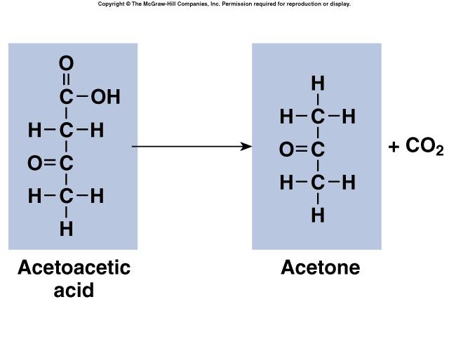 Hydrolysis of triglycerides in adipose tissue release free fatty acids.