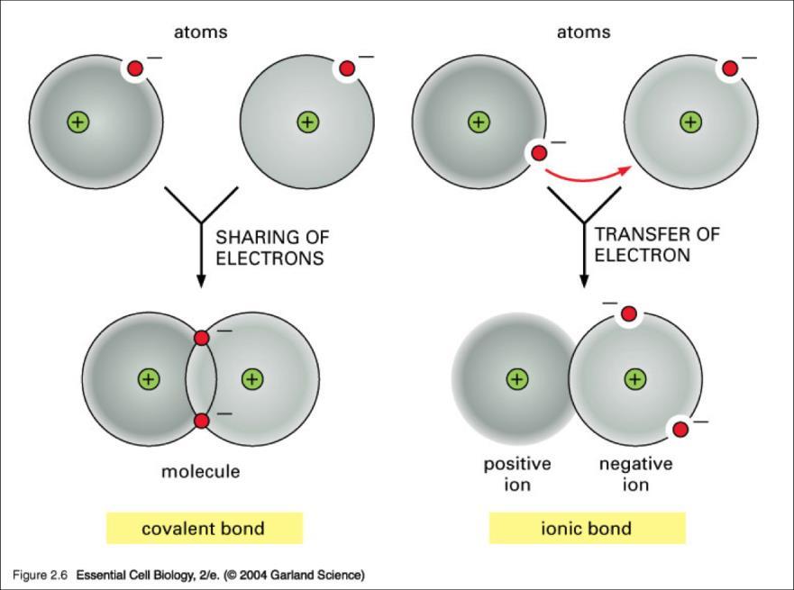 Chemistry Review Structure of an Atom are organized