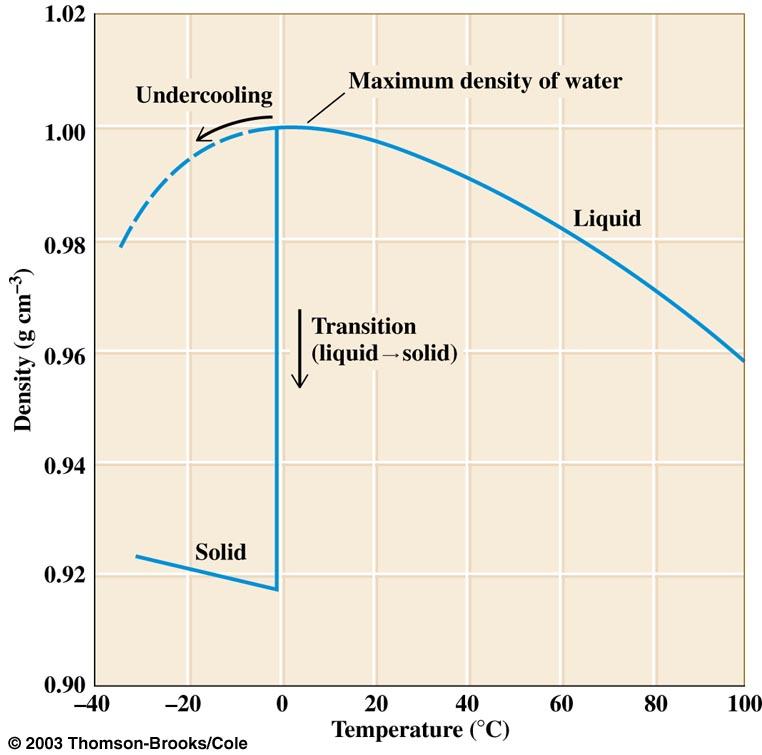 Dipole-Dipole Forces Hydrogen bonding is responsible for the open cage structure of ice along with the unusual relationship between temperature and density of water/ice: Hydrogen
