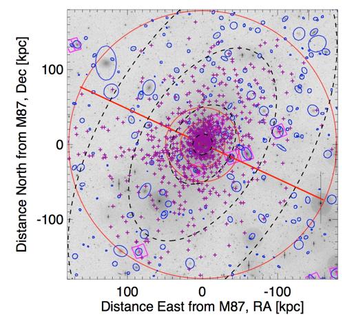 GC systems in massive galaxies extend to >10-30 Re ~100 kpc+ (Rhode+Zepf 2004, Bassino+2006, Peng+2011, G.Harris+2012) outer halo - presence of intracluster GCs? (IGCs; eg.