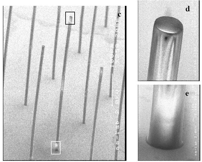 SU-8 pillars with 8μm diameter with height 480μm ( 1:60 ratio! ) fabricated by x-ray lithography.