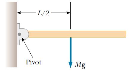 Example: Rotating Rod A uniform rod of length L and mass M is attached at one end to a frictionless pivot and is free to rotate about the pivot in the vertical
