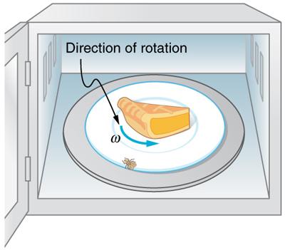 There is translational motion even for something spinning in place, as the following example illustrates. Figure 10.9 shows a fly on the edge of a rotating microwave oven plate.