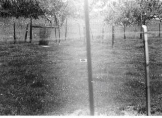 The UFO is said to have landed by the cinder block in the center of the field. And some of the things that Roach said were obviously derived from the Llanca abduction.