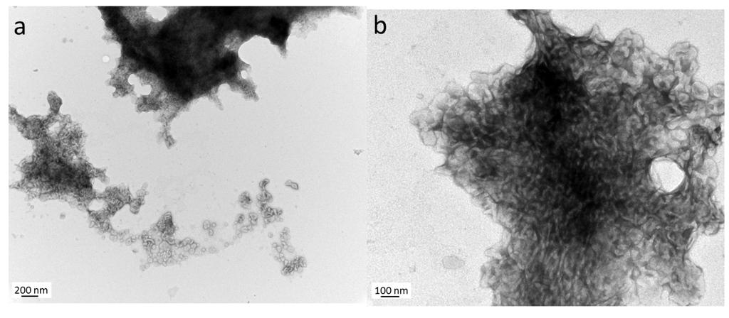 Dextran-block-PBLG 2 formed macroscopic aggregates even after warming several days at 80 C (figure S11) whereas nanoprecipitation has been successfully used to prepare vesicles from the same hybrid