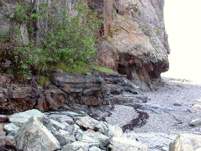 Photos by Henry Berry The Bar Harbor Formation At The Ovens, however, the rock is more massive and uniform, so the layers are difficult to distinguish.
