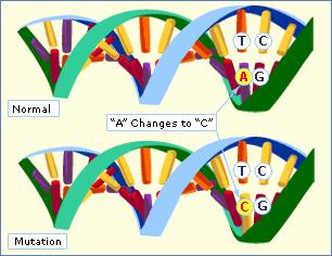Mutations change in the sequence of