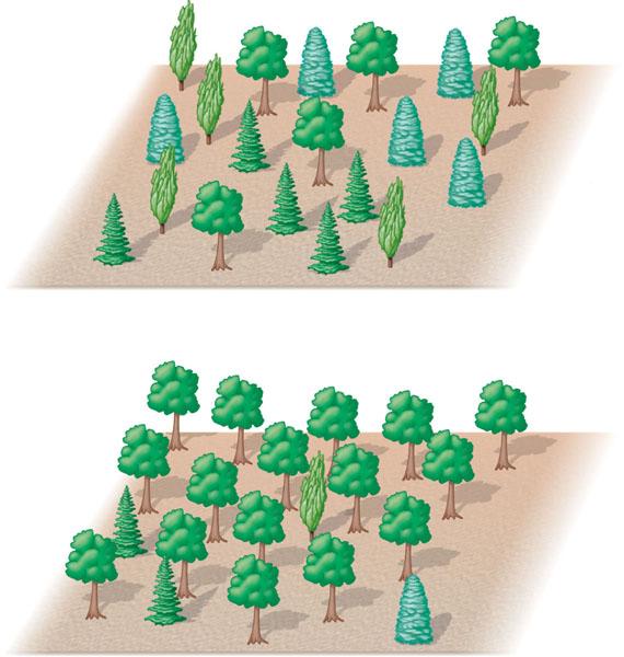 Two different communities Can have the same species richness, but a different relative abundance