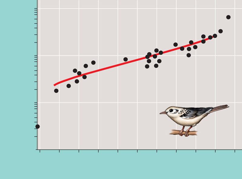 A species-area curve of North American breeding birds Supports this idea 1,000 Number of species