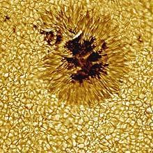 The length of the sunspot cycle (a cycle in which the average number of sunspots on the sun gradually rises and falls) is about 11