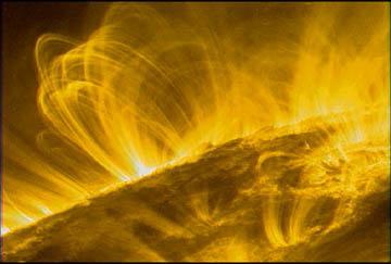 Solar prominences dense clouds of material