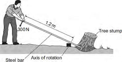 Q8.The diagram shows a gardener using a steel bar to lift a tree stump out of the ground. When the gardener pushes with a force of 300 N, the tree stump just begins to move.