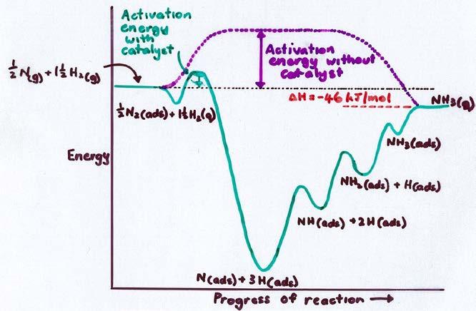 H (g) H(ads) N (g) N (ads) N (ads) N(ads) N(ads) NH(ads) NH (ads) NH 3 (ads) NH 3 (ads) NH 3 (g) Graph below shows the progress of the reaction against the energy level.