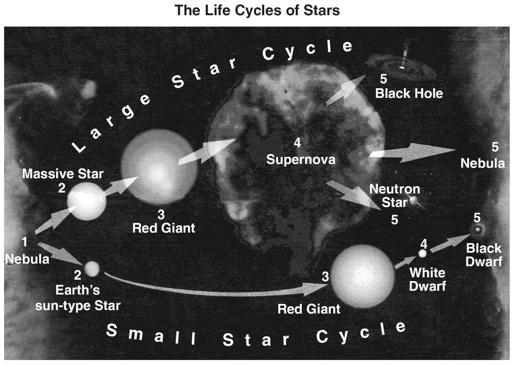 Base your answers to questions 21 through 23 on the diagram below, which shows two possible sequences in the life cycle of stars, beginning with their formation from nebular gas clouds in space. 21. Stars like Earth s Sun most likely formed directly from a A nebula B supernova C red giant D black dwarf 22.