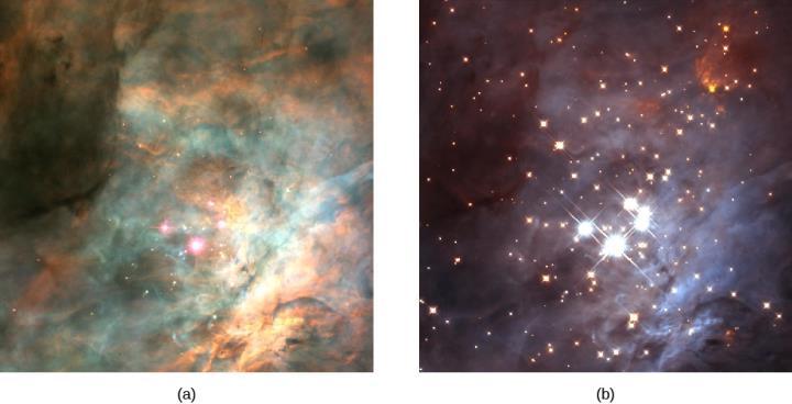 FIGURE 18.8 Brown Dwarfs in Orion. These images, taken with the Hubble Space Telescope, show the region surrounding the Trapezium star cluster inside the star-forming region called the Orion Nebula.