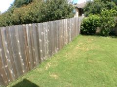 13  Fence Fence 13 