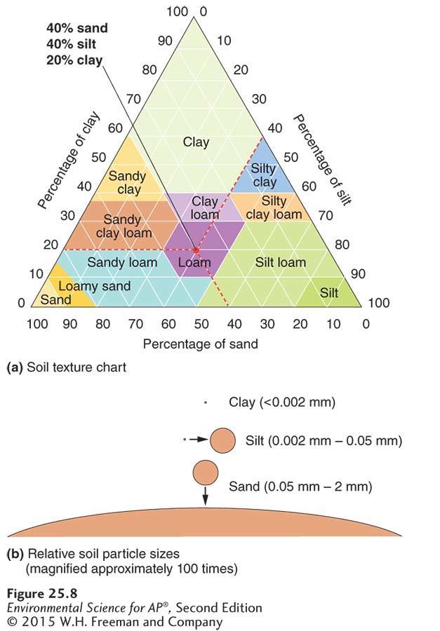 Properties of Soil Soil properties. (a) Soils consist of a mixture of clay, silt, and sand.