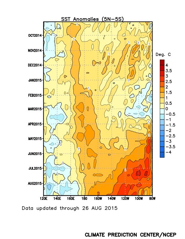 observed in the eastern Pacific, and positive SST anomalies persisted