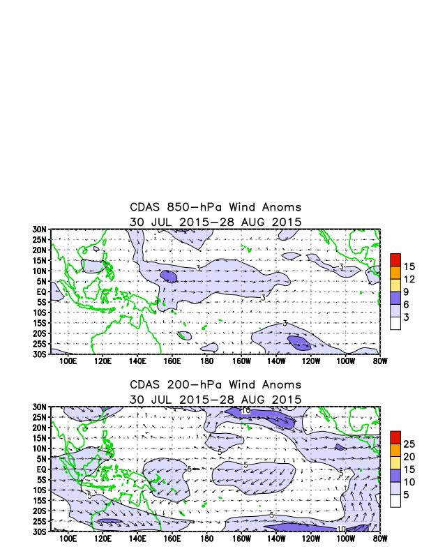 Positive OLR anomalies (suppressed convection and precipitation) were observed over Indonesia, the