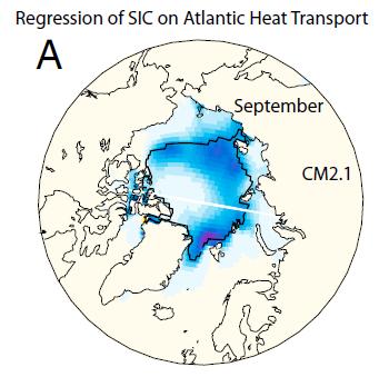 Impact of AMOC on Summer Arctic Sea Ice