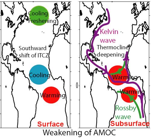 Tropical Fingerprint of AMOC Variations Warming Cooling MODEL MODEL Cooling Warming Surface Subsurface (z=400m) Ocean temperature anomaly due to the weakening of AMOC from GFDL CM2.