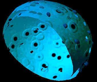 Nuclear Membrane Surrounds nucleus Made of two