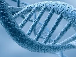DNA Complex chemical substance in
