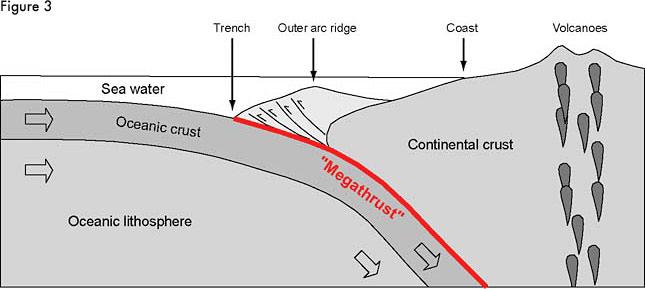 At the trench, the Indian/Australian plate is being subducted; that is, it is diving into