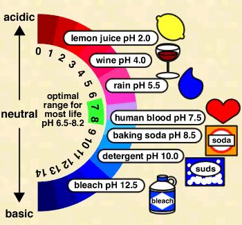 ph and buffers ph is a measure of how acidic or basic a solution is.