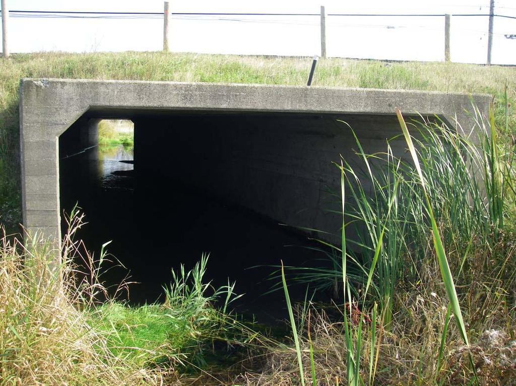 Photo 3: Downstream view of the culvert crossing Bronte Rd.