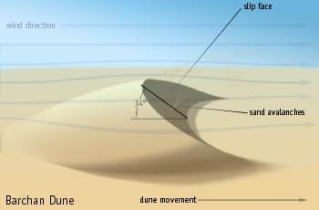 Types of Dunes Barchan dunes are solitary crescent shaped dunes