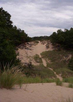 Types of Dunes Parabolic dunes are
