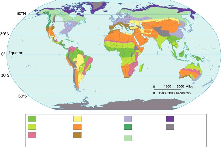 Figure 4-11 The World s Major Land Biomes Section 4-3 Tropical rain forest Temperate grassland Temperate forest Tundra Tropical dry