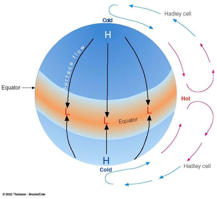 General Circulation of Waterworld L HADLEY CELL A giant convection cell, or thermally direct circulation. Warm air rises at the equator. Low pressure at surface, high pressure aloft.
