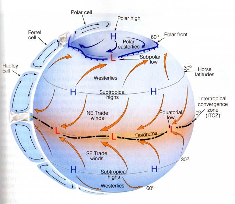 Three-cell model of general circulation Mid-latitudes: 30 to 60 latitude Mid-latitude cyclones do the job of
