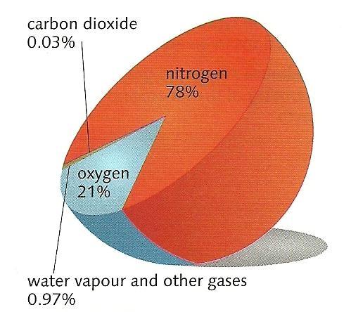 The primitive atmosphere was made up of water vapour, carbon dioxide, nitrogen, hydrogen, ammonia and methane and it did not have oxygen.