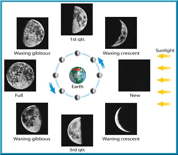 // Phases of the Moon A new moon occurs when the Moon is between Earth and the Sun.