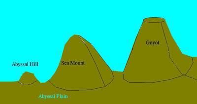 SEA MOUNTS & GUYOTS Seamounts are cone-shaped mountain peaks that rise