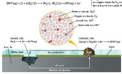 When iron exposed to water and oxygen, metal at anode oxidized to Fe 2+ ions Electrons released travel