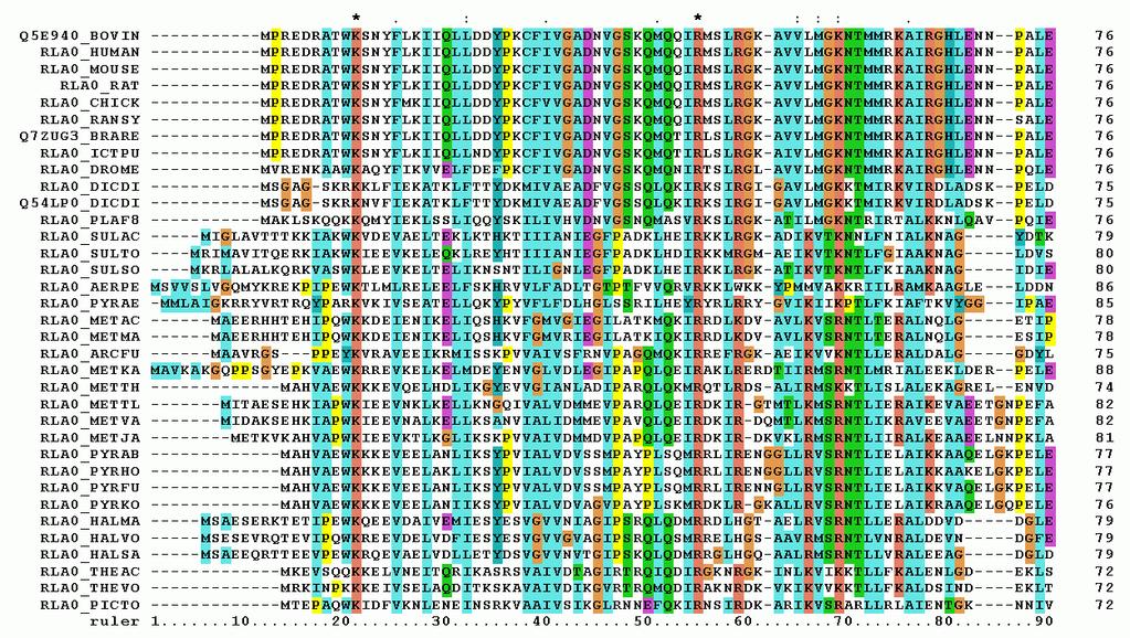 Multiple Sequence Alignments MSAs contain information about evolution of