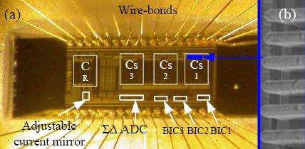 Laboratory-on-Chip : Outline Microscopic image of fabricated chip (a) Die including the electrodes and sigma delta sensor, (b)
