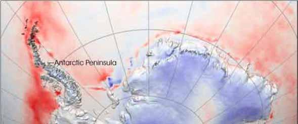 Recent Antarctic Climate