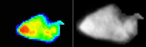 Before Stardust met up with Comet Wild 2, the sample return spacecraft swung past Asteroid 5535 Annefrank in November 2002.