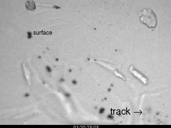 How do we find 45 microscopic particles somewhere within 1.6 million focus movies? The particles themselves are not visible in the movies, only the tracks they leave in the aerogel.