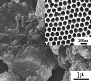 electrocatalyst gave a enhanced performance for MeOH oxidation because